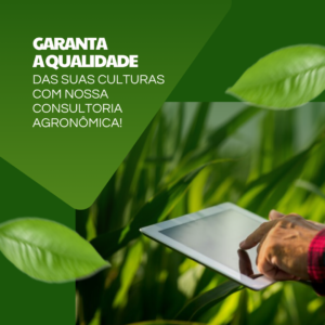 pack canva agronomia (1)