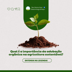 pack canva agronomia (11)