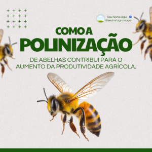 pack canva agronomia (13)