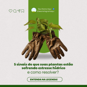 pack canva agronomia (15)