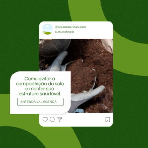 pack canva agronomia (3)