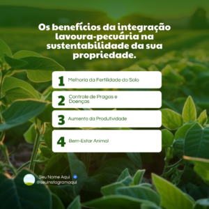 pack canva agronomia (4)
