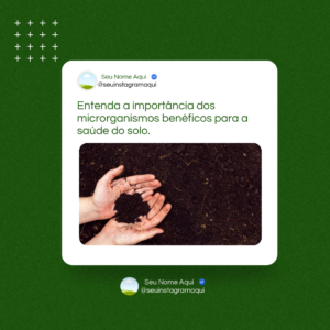 pack canva agronomia (6)